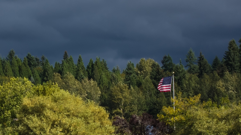 Flag and Trees - Woodinville 9/20/2015